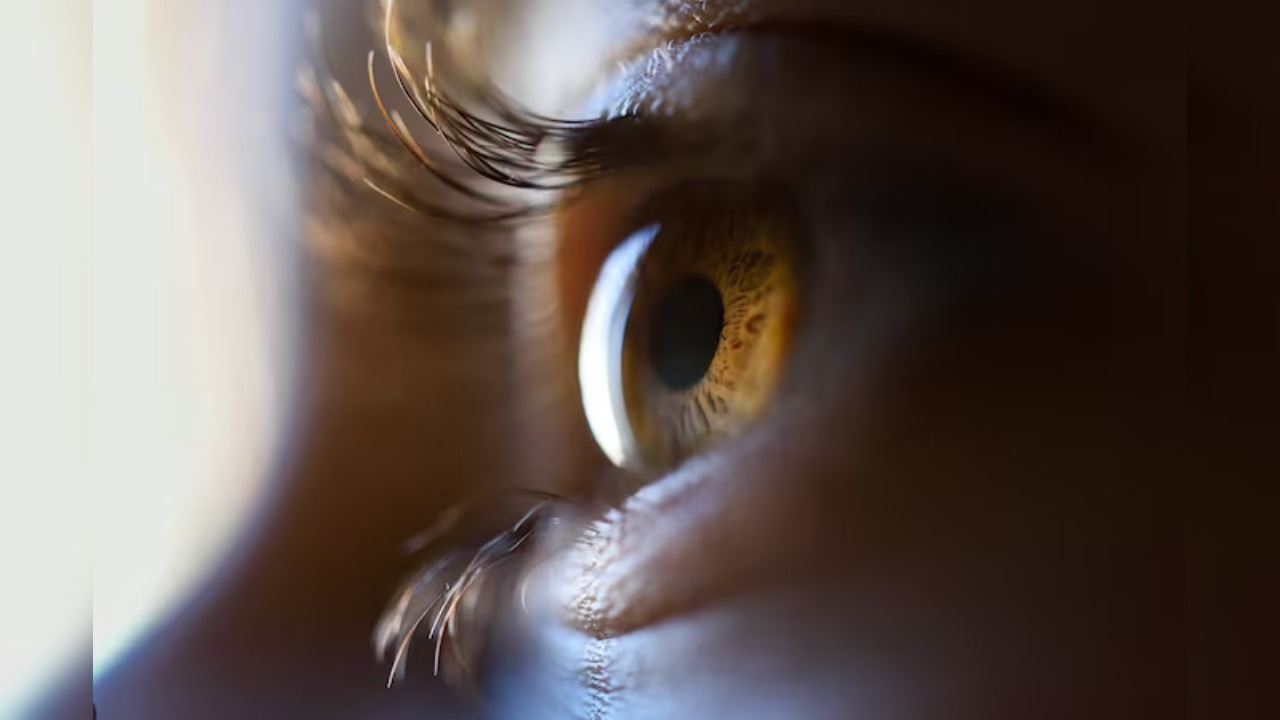 Protect Your Eyes: Volcanic ash can cause irritation and damage to your eyes. Wearing goggles or sunglasses can provide protection. 