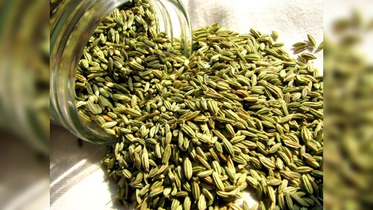 3 Fennel seeds contain antioxidants that improve metabolism. 