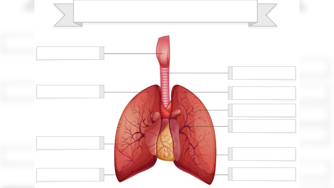  Lung diseases such as asthma or COPD can also trigger breathlessness while bending.