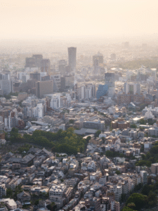 Best Diet to Fight Delhi Pollution